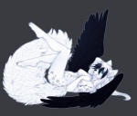 anthro biped blue_eyes breasts claws feathered_wings feathers feet female fur hair hindpaw humanoid_feet legs_up looking_at_viewer lying nude on_back paws plantigrade pose simple_background solo tail tattoo white_body white_fur white_hair wings ookami-kun canid canine canis mammal wolf better_version_at_source pinup