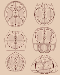 against_surface anus areola ass_on_glass balls big_breasts big_butt breasts butt crossgender crotch_breasts equine_anus faceless_character female feral genitals glass group male nipples on_glass puffy_anus rear_view simple_background tail teats vulva window wings cold-blooded-twilight friendship_is_magic hasbro my_little_pony mythology applejack_(mlp) fluttershy_(mlp) pinkie_pie_(mlp) rainbow_dash_(mlp) rarity_(mlp) twilight_sparkle_(mlp) equid equine mammal mythological_creature mythological_equine pegasus 2025 4:5 hi_res