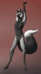 2.doe abs andromorph anthro athletic black_body black_fur bracelet canid canine chest_tuft clitoris cocky confident digitigrade ear_piercing edelweiss_(2.doe) enlarged_clitoris eyebrows facial_piercing fluffy fluffy_tail fox fur genital_piercing genitals grey_body grey_fur hand_behind_head hi_res industrial_piercing intersex jewelry labia_piercing lip_piercing mammal mastectomy_scar multiple_piercings muscular muscular_andromorph muscular_intersex piercing pose pussy pussy_piercing raised_arm raised_eyebrow redraw scar simple_background smile solo tail trans_(lore) trans_man_(lore) tuft visibly_trans