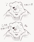 anthro embarrassed facial_scar heart_symbol jewelry male missing_eye necklace scar shy solo text naru_papi mihoyo zenless_zone_zero ben_bigger bear mammal 4:5 japanese_text sketch