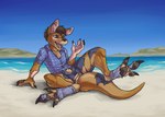 3_toes 5_fingers anthro beach biped black_claws black_nose black_pawpads blue_clothing blue_eyes blue_shirt blue_topwear brown_hair claws clothing crotch_tuft day featureless_crotch feet finger_claws fingers fur fur_growth growth hair human_to_anthro male open_mouth open_smile outside pawpads shirt smile solo species_transformation toe_claws toes topwear torn_clothing transformation tuft janewolf kangaroo macropod mammal marsupial digital_drawing_(artwork) digital_media_(artwork) hi_res