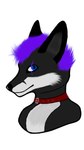 anthro black_body black_fur black_nose blue_eyes cheek_tuft collar eye_scar facial_markings facial_scar facial_tuft first_art_piece fur grey_body grey_fur hair head_markings male markings multicolored_body multicolored_fur purple_hair purple_scar red_collar scar simple_background simple_coloring simple_eyes simple_face solo tuft two_tone_body two_tone_fur white_body white_fur anonymous_floof sylvarin_(anonymous_floof) canid canine canis fox hybrid mammal red_fox true_fox wolf 9:16 digital_media_(artwork) gimp_(artwork) headshot_portrait hi_res portrait shaded simple_shading