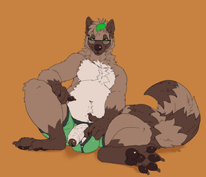 anthro balls belly boxer_briefs boxer_briefs_only brown_body brown_fur brown_penis button_fly button_underwear clothed clothing countershade_balls countershade_genitalia countershade_torso countershading erection eyewear foreskin fur genitals glasses gloves_(marking) green_eyes humanoid_genitalia humanoid_penis leaf leaf_on_head leg_markings looking_at_viewer male male_anthro markings orange_background overweight overweight_anthro overweight_male partially_retracted_foreskin pawpads penis penis_poking_out penis_through_fly ring_(marking) ringed_tail simple_background sitting socks_(marking) solo striped_markings striped_tail stripes tail tail_markings tan_body tan_fur tan_penis topless topless_anthro topless_male underwear underwear_only vein veiny_penis wearing_glasses mintyderg canid canine mammal raccoon_dog tanuki 2021 absurd_res hi_res