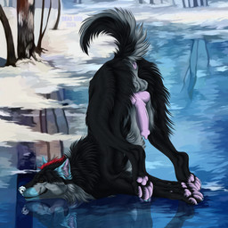 animal_genitalia animal_penis anus ass_up balls black_body black_fur brown_eyes canine_genitalia canine_penis cheek_tuft closed_smile erection facial_tuft feral fur genitals grey_body grey_fur ice knot leg_tuft lying male mouth_closed narrowed_eyes neck_tuft on_front outside pawpads penis pink_anus pink_pawpads pink_penis plant reflection side_view smile snow solo text tree tuft msdeadsoul canid canine mammal 1:1 2024 artist_name dated hi_res