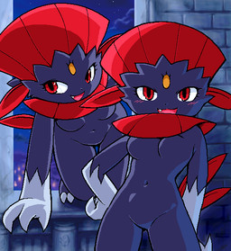 all_fours anthro biped blush breasts detailed_background duo fangs featureless_breasts featureless_crotch female fur gloves_(marking) grey_body grey_fur hand_on_hip inside iris looking_at_viewer markings monotone_breasts multicolored_body multicolored_fur navel night nude open_mouth pokemorph pupils purple_body purple_breasts purple_fur red_eyes sky small_breasts small_waist standing star starry_sky teeth two_tone_body two_tone_fur window g-sun nintendo pokemon generation_4_pokemon pokemon_(species) weavile restricted_palette sibling_(lore) twins_(lore)