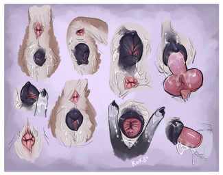 anatomically_correct anatomically_correct_genitalia animal_genitalia animal_penis animal_vulva anthro anthro_on_feral anthro_penetrating anthro_penetrating_feral anus bestiality bodily_fluids border canine_genitalia canine_penis canine_vulva clitoral_fossa clitoris cum cum_inside duo erection female female_penetrated feral feral_penetrated genital_fluids genitals knot knot_root knotted_penis male male/female male_penetrating male_penetrating_female penetration penile penile_penetration penis presenting presenting_anus presenting_vulva raised_tail sex spread_vulva spreading tail vaginal vaginal_penetration vulva white_border queenkoko balto_(series) universal_studios aleu_(balto) canid mammal hi_res