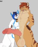 anthro balls bell bell_collar big_balls big_penis blue_eyes blue_hair blue_inner_ear blue_inner_ear_fluff bodily_fluids brown_body brown_fur brown_markings brown_stripes collar collar_only duo eyewear eyewear_only face_on_chest fangs femboy fluffy fluffy_tail foreskin fur fur_markings genital_fluids genitals glasses glasses_only hair hand_on_penis heterochromia huge_balls huge_penis humanoid_genitalia humanoid_penis hyper hyper_balls hyper_genitalia hyper_penis inner_ear_fluff male male/male markings neck_tuft nude penis saggy_balls striped_arms striped_body striped_fur striped_markings striped_shoulders striped_tail stripes tail tail_markings tan_body tan_fur teeth tuft wearing_glasses white_body white_fur anixis conditional_dnp mikko yuki_(yukitallorean) canid canine felid feline felis mammal prehistoric_species saber-toothed_tiger smilodon absurd_res digital_media_(artwork) hi_res