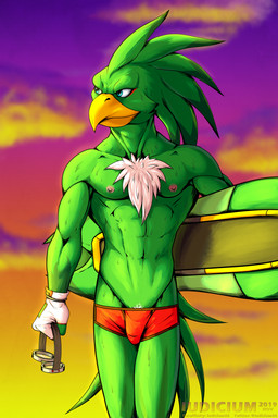 abs anthro athletic athletic_anthro athletic_male beak bodily_fluids clothed clothing gloves handwear male nipples non-mammal_nipples outside solo sunset sweat topless underwear iudicium86 sega sonic_riders sonic_the_hedgehog_(series) jet_the_hawk accipitrid accipitriform avian bird hi_res