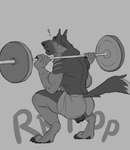 accident accidental_exposure anatomically_correct anatomically_correct_genitalia anatomically_correct_vulva andromorph andromorph_anthro animal_genitalia animal_vulva anthro barbell_squats biped bodily_fluids canine_genitalia canine_vulva claws clothing digitigrade exercise feet genital_fluids genitals hindpaw intersex intersex_anthro muscular muscular_andromorph muscular_anthro muscular_intersex pawpads paws scar scars_all_over toe_claws torn_clothing vaginal_fluids vulva wardrobe_malfunction weightlifting workout lddraws ludwig_(lddraws) canid canine canis domestic_dog german_shepherd herding_dog mammal pastoral_dog greyscale hi_res monochrome trans_(lore) trans_man_(lore)
