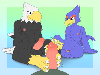 3_toes anthro balls barefoot beak black_balls black_body black_eyes black_feathers blue_balls blue_body blue_eyes blue_feathers blue_tail claws collaborative collaborative_footjob collaborative_sex duo erection feathers feet foot_fetish foot_play footjob genitals group group_sex humanoid_genitalia humanoid_penis male male/male muscular muscular_male nipples non-mammal_balls non-mammal_nipples nude penile penis sex simple_background smile tail talonjob talons toe_claws toes two_tone_tail white_body white_feathers rodricoro animal_crossing nintendo star_fox apollo_(animal_crossing) falco_lombardi accipitrid accipitriform avian bald_eagle bird eagle sea_eagle absurd_res crossover hi_res