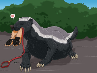 4_toes 5_toes ambiguous_gender ambiguous_prey belly black_body black_fur black_nose black_pawpads day duo feet feral fur heart_symbol leash male male_pred multicolored_body multicolored_fur oral_vore outside pawpads pet_vore plant shrub standing tail tan_body tan_claws tan_fur toes vore whiskers strega mdogo badger canid canine canis domestic_dog mammal mustelid musteline hi_res shaded story story_in_description