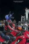 anthro blue_hair bridge female furgonomics hair motorcycle night solo sticker tail vehicle kacey ace_(ayukawataur) ace_(kacey) anubian_jackal canid canine canis jackal mammal 2006