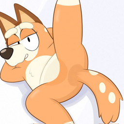 anthro bedroom_eyes bent_arm bent_leg big_ears big_eyes big_nose biped black_eyes black_nose brown_body brown_ears brown_fur chest_tuft eyebrows eyelashes featureless_chest featureless_crotch female flat_chested fur fur_tuft glistening glistening_body glistening_fur glistening_knee glistening_legs glistening_nose grey_background grin grinning_at_viewer hands_behind_head head_tuft iris leg_markings light_body light_fur light_markings long_eyelashes lying markings mature_anthro mature_female multicolored_body multicolored_fur multicolored_tail narrowed_eyes no_pupils nude nude_anthro nude_female null on_side orange_body orange_fur orange_tail pointy_ears pose presenting prick_ears raised_leg seductive shadow simple_background simple_eyes smile smiling_at_viewer snout socks_(marking) solo spots spotted_markings spotted_tail spread_legs spreading tail tail_markings tan_inner_ear teeth thick_eyebrows thick_thighs three-quarter_view tuft two_tone_tail white_body white_eyebrows white_fur white_markings white_sclera white_spots white_tail lexusart616 bluey_(series) chilli_heeler australian_cattle_dog canid canine canis cattledog domestic_dog herding_dog mammal pastoral_dog 1:1 2026 digital_drawing_(artwork) digital_media_(artwork) hi_res