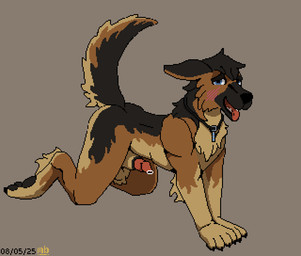 all_fours animal_genitalia anthro becoming_erect black_sheath_slit bodily_fluids genital_fluids genitals male precum presenting sheath sheath_slit solo tail tail_motion tailwag mustard_(welcometothevoid) leon_schafer canid canine canis domestic_dog german_shepherd herding_dog mammal pastoral_dog animated digital_media_(artwork) loop pixel_(artwork) pixel_animation