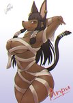 anthro areola areola_slip bandage bangs big_breasts black_hair breasts brown_body brown_eyes chromatic_aberration curvy_figure ear_piercing ear_ring female female_anthro hair hands_behind_head hime_cut kemono looking_at_viewer mostly_nude navel nipples open_mouth piercing ring_piercing side_mouth simple_background smile solo white_background wide_hips usagin tamamo-chan's_a_fox anpu_(tamamo-chan) anubian_jackal canid canine canis jackal mammal hi_res