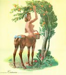 1960s accessory anthro basket bow_(feature) bow_accessory bow_ribbon breasts brown_body brown_fur brown_hair container detailed_background female flower food fruit fur furgonomics grass hair headband headgear hooves human_torso leaf monster_girl_(genre) nature nipples nude orange_(fruit) outside plant quadruped ribbons scenery side_boob solo split_form tail tail_accessory tail_bow tail_ribbon tree wood ren_wicks european_mythology greek_mythology mythology centaur equid equid_taur humanoid_taur mammal mammal_taur taur 1964 20th_century ancient_art hi_res painting_(artwork) source_request traditional_media_(artwork) unavailable_at_source