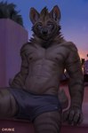 anthro bottomwear chunie claws clothing hi_res hyena looking_at_viewer male mammal muscular neck_tuft shirtless shorts sitting smile snaggle_tooth solo tuft urban