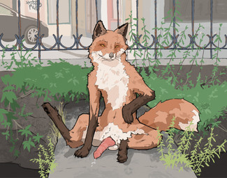 anatomically_correct anatomically_correct_genitalia animal_genitalia animal_penis balls bodily_fluids brown_ears brown_paws building canine_genitalia canine_penis car chest_tuft concrete detailed_background dripping erection fence feral fluffy fluffy_tail front_view fur fur_markings genital_fluids genitals knot knotted_penis leaking_precum looking_aside male markings navel orange_body orange_fur outside paws penis plant precum precum_on_ground precum_string presenting presenting_penis raised_paw rust sheath sitting smile solo spread_legs spreading tail tuft urban vehicle whiskers white_body white_fur hotdogmeat aiden_(hotdogmeat) canid canine fox mammal red_fox true_fox 2025 digital_media_(artwork) hi_res