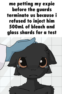 ambiguous_anthro ambiguous_gender anthro arm_tuft big_eyes black_body black_fur bodily_fluids closed_frown clothing coat collarbone crying duo frown frowning_at_viewer fur glistening glistening_eyes gloves handwear headpat lab_coat laboratory looking_at_viewer mostly_offscreen_human mouth_closed nude_ambiguous nude_anthro orange_sclera sad shitpost short_snout shoulder_tuft skinny_ambiguous skinny_anthro snout_from_the_front tears text topwear tuft welling_tears commonbleat casualties:_unknown canid canine expie_(gunsawian) gunsawian human mammal 2026 bust_portrait cel_shading english_description english_text meme portrait shaded