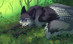 4_toes day detailed_background feathered_wings feathers feet female feral fur grey_body grey_fur outside paws purple_eyes smile solo toes wings ketty hioshiru_(character) avian bird canid canine canis fox hybrid mammal wolf 2022 absurd_res digital_media_(artwork) hi_res