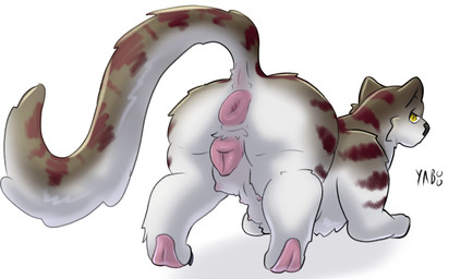animal_genitalia animal_vulva anus butt canine_genitalia canine_vulva female feral genitals looking_back lying on_front pawpads presenting presenting_anus presenting_hindquarters presenting_vulva puffy_anus raised_tail solo tail teats vulva yaboo felid mammal pantherine absurd_res hi_res