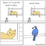1:1 4koma ambiguous_gender avian base_two_layout bird black_body black_feathers blue_body blue_feathers blue_jay comic corvid domestic_cat english_text eyes_mostly_closed feathers felid feline felis feral four_frame_grid four_frame_image fur grey_body grey_fur grid_layout jay_(bird) jimmy_craig looking_back mammal multicolored_body multicolored_feathers narrowed_eyes new_world_jay oscine passerine rear_view regular_grid_layout text theycantalk two_row_layout url white_body white_feathers yellow_body yellow_fur young young_feral