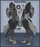 anthro black_border border ear_piercing female gauged_ear piercing solo zhekathewolf miller canid canine canis mammal wolf hi_res model_sheet