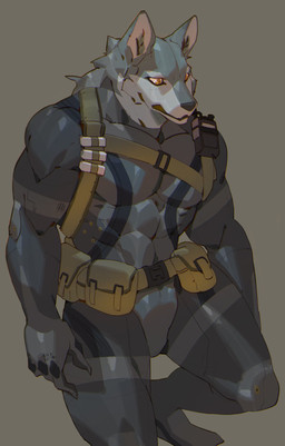 abs anthro black_nose bodysuit clothing electronics fur grey_body grey_fur hair male military military_gear multicolored_hair muscular muscular_anthro muscular_male pecs simple_background skinsuit soldier solo tactical tactical_belt tactical_gear tight_clothing two_tone_hair walkie-talkie warrior yellow_eyes cxcxxcxxxx canid canine canis mammal wolf absurd_res hi_res