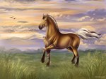 amber_eyes anatomically_correct anatomically_correct_genitalia animal_genitalia feral field_background genitals male morning sheath solo sunrise trotting beesa arvakr draft_horse equid equine fjord_horse horse mammal 4:3 hi_res