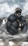 anthro big_muscles blue_eyes feral fur grey_hair hair huge_muscles landscape male muscular nature realistic river rock solo tusks water waterfall autofurrart zubr ape gorilla haplorhine mammal primate silverback_gorilla absurd_res hi_res