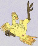 ambiguous_gender animal_genitalia avian_butt avian_feet beak claws cloaca feathers feet female feral genitals horizontal_cloaca simple_background solo tail tail_feathers talons toes wings yellow_body yellow_feathers p.v.su final_fantasy square_enix avian bird chocobo absurd_res hi_res female_(lore)