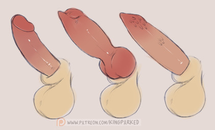 animal_genitalia animal_penis balls canine_genitalia canine_penis comparing comparing_penis comparison disembodied_penis feline_genitalia feline_penis genital_shot genitals group humanoid_genitalia humanoid_penis hybrid_genitalia hybrid_penis knot male penile_spines penis penis_shot sheath sheathed_humanoid_penis kingparked canid canine felid feline mammal absurd_res digital_media_(artwork) hi_res model_sheet