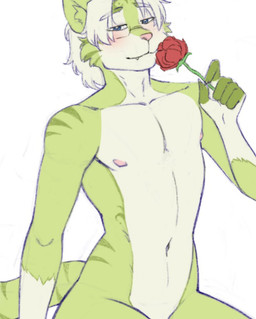 anthro bedroom_eyes blue_eyes blush eye_through_hair eyebrow_through_hair eyebrows fangs flower fur green_body green_fur hair half-closed_eyes holding_flower holding_object inner_ear_fluff looking_at_viewer male multicolored_body narrowed_eyes nipples pink_nipples pink_nose plant rose_(flower) seductive simple_background slim_male small_fangs smelling_flower smile solo tail teeth translucent translucent_hair tuft white_background white_body white_fur white_hair white_hands undercovernezha amorous seth_(amorous) domestic_cat felid feline felis mammal 2026 digital_drawing_(artwork) digital_media_(artwork) unfinished