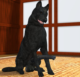 animal_genitalia animal_penis balls big_penis black_body black_fur black_penis bodily_fluids equine_genitalia equine_penis erection feral fur genital_fluids genitals huge_penis hyper hyper_genitalia hyper_penis male mismatched_animal_penis mismatched_genitalia mismatched_penis nude penis precum realistic_feral solo tapiko canid canine canis domestic_dog mammal 3d_(artwork) digital_media_(artwork)