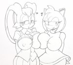 anthro big_breasts blush breasts duo female nipple_outline cyrockstar cyrosso sega sonic_the_hedgehog_(series) amy_rose vanilla_the_rabbit eulipotyphlan hedgehog lagomorph leporid mammal rabbit hi_res