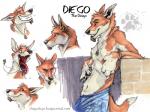 4:3 anthro blotch blue_eyes canid canine canis clothing diego_(blotch) dingo facial_hair goatee hei-matau male mammal model_sheet simple_background solo text the_dog's_days_of_summer url white_background