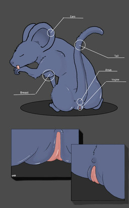 anus big_ears blue_body blue_skin breasts butt clitoris close-up female feral fur genitals grey_background humanoid_genitalia humanoid_genitalia_on_feral humanoid_vulva humanoid_vulva_on_feral licking nipples raised_tail simple_background sitting solo tail tail_anus tongue tongue_out vulva eatmybuns domestic_cat felid feline felis haplorhine hybrid mammal monkey mouse murid murine primate rodent 5:8 hi_res story story_in_description