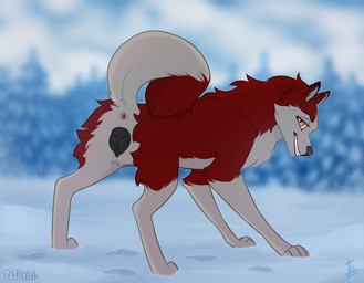 amber_eyes anatomically_correct anatomically_correct_anus anatomically_correct_genitalia anatomically_correct_vulva animal_genitalia animal_vulva anus black_nose butt canine_genitalia canine_vulva clothing cloud eyelashes female feral footprint fur genitals in_heat looking_at_viewer multicolored_body multicolored_fur pawprint plant presenting presenting_anus presenting_hindquarters presenting_vulva raised_tail red_body red_fur smile snow snow_on_trees solo tail text tree vulva tzsilviri balto_(series) universal_studios jenna_(balto) canid canine canis domestic_dog husky mammal nordic_sled_dog spitz 2021 dated digital_drawing_(artwork) digital_media_(artwork) signature