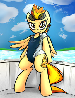 anthro clothed clothing cloud cutie_mark eyewear eyewear_on_head female hair leaning looking_at_viewer on_hind_legs one-piece_swimsuit open_clothing open_shirt open_topwear orange_eyes outside poolside shirt sky solo sunglasses sunglasses_on_head swimming_pool swimwear tail topwear water wings yellow_body jetwave friendship_is_magic hasbro my_little_pony mythology spitfire_(mlp) wonderbolts_(mlp) equid equine mammal mythological_creature mythological_equine pegasus 2016 absurd_res digital_drawing_(artwork) digital_media_(artwork) full-length_portrait hi_res portrait