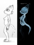 anatomy anthro bone breasts cross_section darkdoomer domestic_cat featureless_breasts felid feline felis female hi_res internal mammal nude pelvis pregnant pregnant_female radiograph ribs simple_background skull solo source_request spine tail
