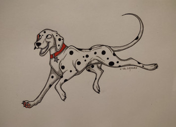 black_ears black_nose black_spots collar feral floppy_ears fur heterochromatic_ears male pink_inner_ear red_collar solo spots star toony white_body white_fur white_spots kaleriagepard1 101_dalmatian_street 101_dalmatians disney dylan_(101_dalmatians) canid canine canis dalmatian domestic_dog mammal absurd_res hi_res