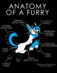 4_toes anatomy arm_tuft belly black_background black_belly black_body black_claws black_eyes black_fur black_hair black_nose black_tail blue_body blue_fur blue_hair blue_tail blue_tongue cheek_tuft claws diagram ear_piercing elbow_tuft emoticon facial_tuft feet feral fluffy fluffy_tail fur fur_markings gloves_(marking) hair humor industrial_piercing inner_ear_fluff leg_markings male markings mostly_nude multicolored_body multicolored_fur multicolored_hair multicolored_tail open_mouth open_smile owo paws piercing quadruped scarf scarf_only scene_haircut simple_background slim smile snout socks_(marking) solo sparklefur tail teeth text the_truth toe_claws toes tongue tuft two_tone_hair two_tone_tail white_body white_fur zillion_ross anatomy_of original_character_do_not_steal owo_whats_this canid canine fox mammal 2018 biological_illustration english_text hi_res meme restricted_palette technical_illustration