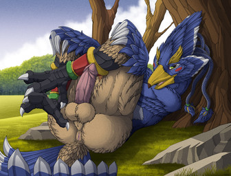 anthro anus balls beak biped blonde_eyebrows blue_body blue_feathers blue_sky brown_body brown_feathers butt claws day dreadlocks erection eyebrows feathered_balls feathers feet genitals glans green_eyes humanoid_genitalia humanoid_penis male open_mouth outside penis penis_tuck pink_glans pink_penis presenting presenting_hindquarters sky solo talons text toe_claws toes white_claws yellow_beak feathered_diva breath_of_the_wild nintendo the_legend_of_zelda revali avian bird rito 2024 artist_name colored english_text hi_res