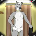 1:1 anthro black_clothing briefs briefs_only bulge canid canine canis clothed clothing coat_hook fitting_room front_view fuze hand_on_underwear hi_res holding_clothing holding_object inside jadefire looking_at_viewer male mammal nipples one_way_mirror recording solo standing tighty_whities topless underwear underwear_only vignette white_briefs white_clothing white_underwear wolf
