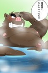 anthro armpit_hair balls belly big_belly blush body_hair brown_body dialogue erection genitals kemono male moobs navel nipples overweight overweight_male penis solo steam text water shibatanukiti mammal suid suina sus_(pig) wild_boar 2024 hi_res japanese_text