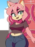 alternate_species anthro big_breasts breasts curvy_figure female hair hand_on_hip hourglass_figure midriff solo wavy_hair wide_hips lirudraw sega sonic_the_hedgehog_(series) amy_rose domestic_cat felid feline felis mammal 3:4 absurd_res hi_res