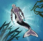 backlighting blue_nose blue_pawpads kelp light male pawpads solo split_form swimming underwater water whitecentaur agropuer cetacean dolphin felid mammal marine merfolk oceanic_dolphin orca pantherine snow_leopard toothed_whale hi_res lighting