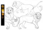 feral male side_view solo knon garra felid lion mammal pantherine model_sheet