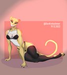 anthro brown_eyes clothing female fur legwear light_clothing looking_at_viewer solo thigh_highs white_body white_fur yellow_body yellow_fur neelam_(artist) felid feline mammal hi_res