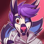 anthro clothing gesture hair hand_gesture hoodie male one_eye_closed pink_nose purple_eyes purple_hair smile solo topwear v_sign wink dripponi drip_(dripponi) canid canine canis jackal mammal 1:1 2024 bust_portrait hi_res icon portrait